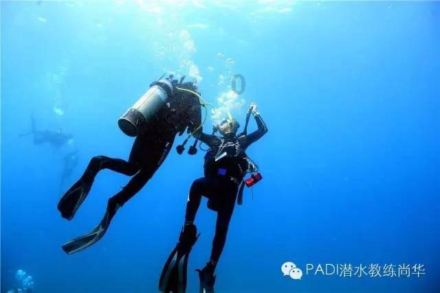 时尚短款皮衣搭军绿色哈伦裤,轻松穿出酷飒感和帅气感,符合你的审美吗?-专业的问答网站